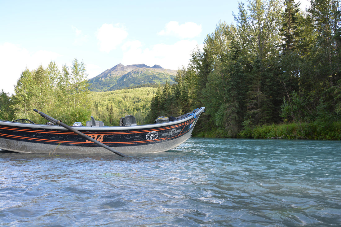 Steel Head in British Columbia
